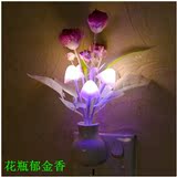 梦幻蘑菇灯批发 LED光控感应蘑菇小夜灯 喂奶灯 玫瑰节能七彩灯