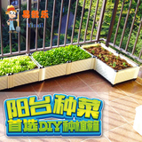 易栽乐阳台菜园种植箱 露台屋顶蔬菜种植槽花盆 方形种菜盆包邮