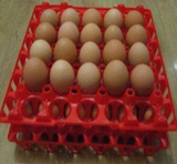 30枚鸡蛋蛋托，塑料蛋托，蛋架，批发价格3.2元出口质量
