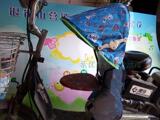 风防雨棚遮阳蓬电瓶电动车自行车儿童坐小孩子宝宝座椅前置座椅防