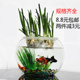 玻璃水培花瓶透明圆形球绿萝送定植篮办公桌面迷你小型生态金鱼缸