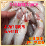 东海野生新鲜龙头鱼豆腐鱼冰鲜冷冻海鲜鱼类水产新鲜鱼味美买就送