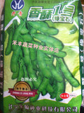 春播蔬菜黄豆毛豆种子香酥1号绿宝石中熟毛豆春夏季露地栽培500克