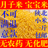 黄小米2015年小黄米陕北米脂1斤包邮杂粮有机黄小米新米月子米