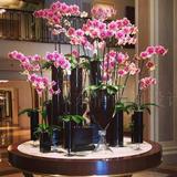 hy14国外大型花器酒店大堂摆设花艺图片软装方案用素材资料