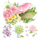 淡彩花卉高清手绘素材图案 复古花朵印刷大图 JPG 淡雅水彩 S22