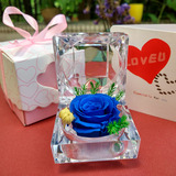 永生花戒指礼盒白色情人节表白礼物品干保鲜花玻璃罩蓝色妖姬玫瑰