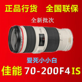 【正品国行】佳能 EF 70-200mm f/4L IS USM 镜头小小白IS 防抖
