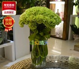 绿色康乃馨花瓶鲜花速递生日看望病人同城北京上海广州深圳全国