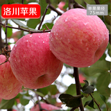 陕西洛川苹果水果新鲜水果红富士苹果20枚75非阿克苏烟台苹果包邮