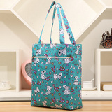 韩版新款女士手提包包手提袋学生书袋购物袋补习袋布包小拎包女包