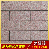 佛山原产优质 耐用外墙砖 瓷砖 通体砖哑光岩石砖 120*240