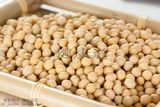 东北杂粮黄豆专用发黄豆芽豆黑龙江非转基因大豆黄豆500克芽豆