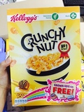 英国KELLOGG’S家乐氏crunchy nut蜂蜜坚果玉米片早餐即食250g
