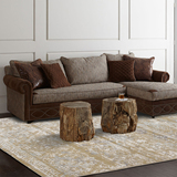土耳其进口地毯地垫宫廷美式欧式法式简约波斯客厅沙发卧室床边毯
