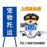 上海浦东 活体宠物狗狗猫咪兔子航空运托运汽运输代办