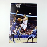 NBA篮球球星 德里克罗斯Rose 玫瑰 8张装海报 贴纸壁画墙贴壁画