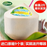 【佳利麦】进口泰国椰青 椰子 9个装 9kg  新鲜水果 送吸管开椰器