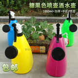 园艺工具 喷壶 气压式 喷雾器 洒水壶喷水壶 大 小 养花壶