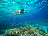 美国夏威夷一日游个人旅游签电话卡自由行租车浮潜酒店深潜体验