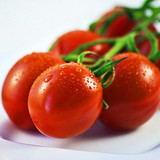 红圣女 樱桃番茄种子 阳台四季播种 秋冬季蔬菜种子 满18元包邮