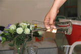 FHMADE纯手工透明耐热加厚玻璃分酒器分水器果汁器酒店家用首选
