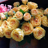 高端仿真英国宫廷玫瑰花装饰浅黄色绢花精品精致手感花冠顺花艺
