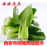 【冰冰点点】精品新鲜蔬菜 小青菜 上海青 半斤装 西安市同城超市