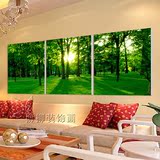 9 绿树阳光风景 背景墙壁画挂画现代装饰客厅三联无框画水晶画定