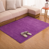特价包邮法兰绒地毯床边床尾厨房客厅卧室地垫儿童毯瑜伽垫可水洗