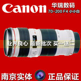 南京实体 佳能 EF 70-200mm f 4L USM 镜头 70-200 f4 小小白