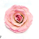 RIO-BIC-07 淡淡粉 中巨型玫瑰 钥匙扣玻璃罩挂件花盒车挂永生花