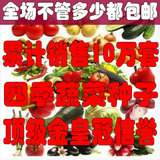 蔬菜种子套餐包邮春播四季播 精装 阳台种菜 盆栽菜籽送花种子