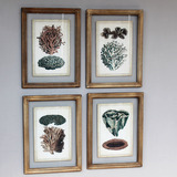 美式乡村地中海田园风格仿古玻璃植物珊瑚组合挂画 装饰画 壁画