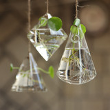 创意玻璃瓶悬挂吊瓶花瓶 窗台水培植物透明小挂瓶绿萝铜钱草花盆
