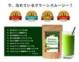 日本直邮Natural Healthy Standard青汁瘦身代餐 水果酵素粉200g