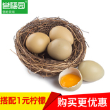 【誉福园】七彩山鸡野鸡蛋20枚农家散养新鲜土鸡蛋 破损包赔