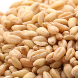 农家粗粮营养健康新小麦小麦仁脱皮小麦粒山东特产非转基因500g