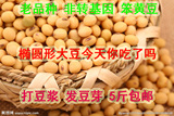特价包邮农家自种有机椭圆形笨土黄豆 非转基因大豆豆浆豆腐250g