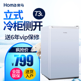 Homa/奥马 BD-73 冰柜 家用小型 立式冷冻柜侧开门节能单温柜