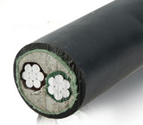 VLV 电线电缆铝芯国标阻燃2芯ZR-YJLV2X10平方交联电力电缆
