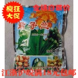 君子兰 发财树 绿萝 有机肥 植物通用型肥料 约100g