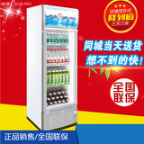穗凌LG4-209LT冰柜立式饮料柜 单门冷藏展示柜保鲜柜冰箱商用冷柜