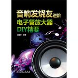 正版！音响发烧友进阶：电子管放大器DIY精要/中国电力出版社