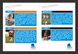 宠物宣传单犬宠物店宣传画册宣传册宣传图册宣传彩页折页设计印刷