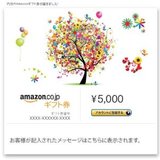 自动发货日亚礼品卡5000 AMAZON购物卡日本亚马逊礼品劵五千日元