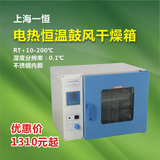 上海一恒干燥箱 鼓风干燥箱恒温干燥箱 实验室烘箱DHG-9030干燥箱
