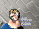 上海起帆电线 纯铜芯国标硬线 VV5芯动力电缆 YJV4*50+1*25平方
