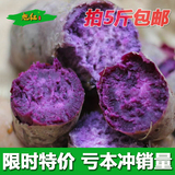 沂蒙特产新鲜地瓜紫薯 农家自种紫心地瓜紫番薯 红薯满包邮500g