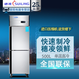 穗凌 Z0.5L2-C 立式 冰柜暗管双门厨房冷柜单温单机直冷商用冷柜